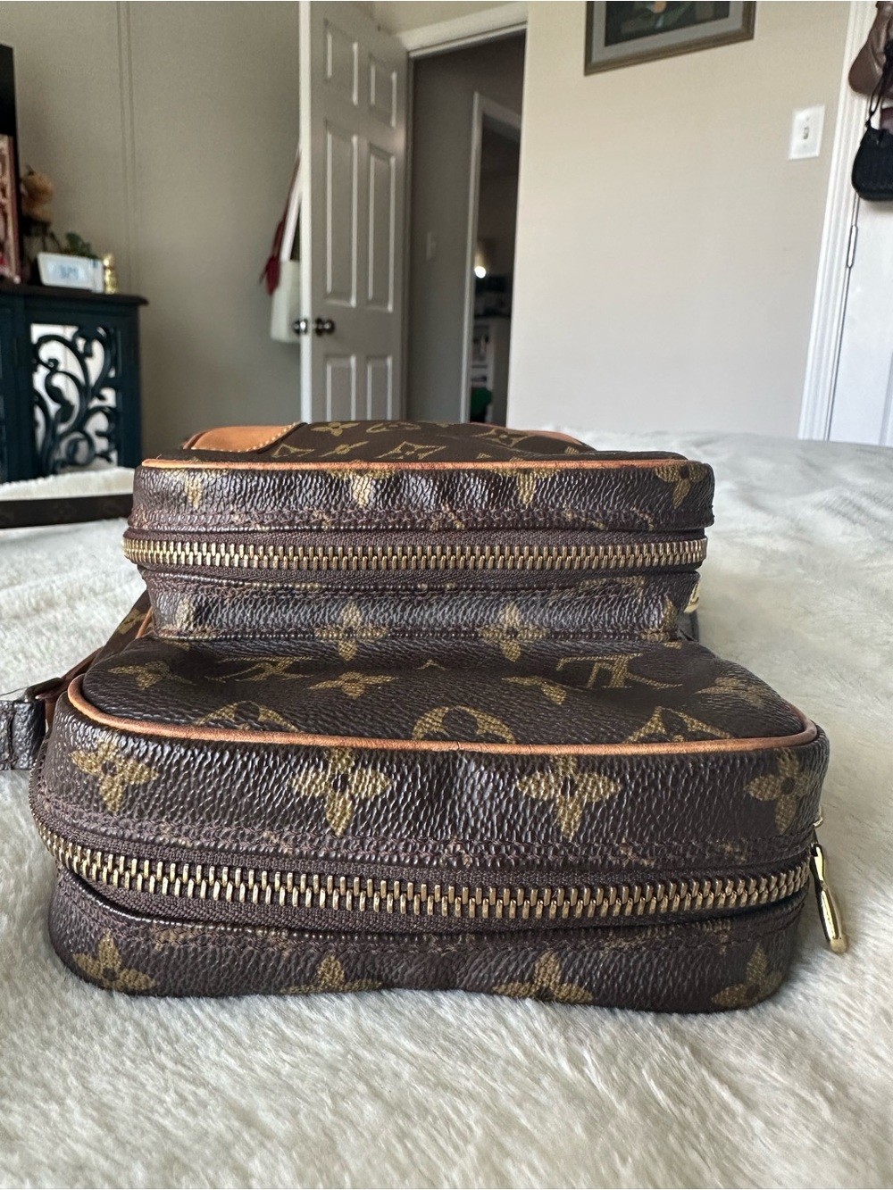 Louis Vuitton Amazone Crossbody Bag - Picture 4 of 16